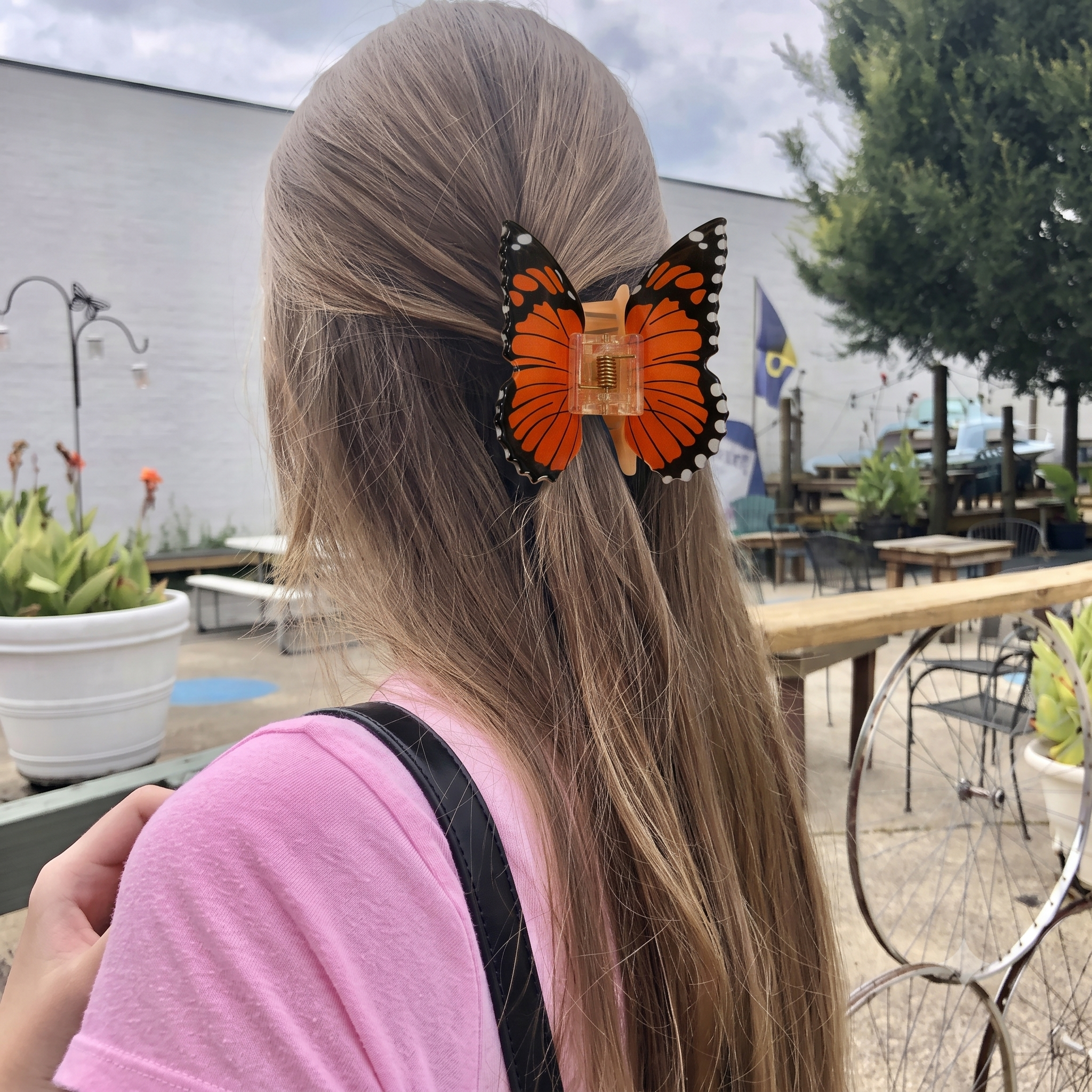 Pretty Wing Claw Clips