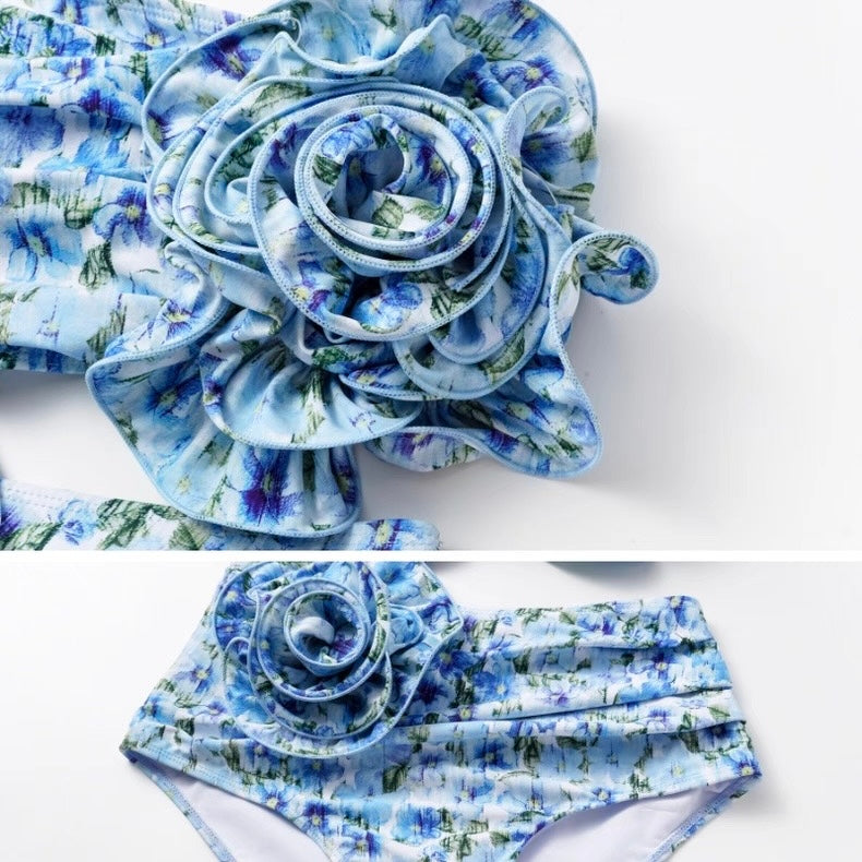 Rose Reverie Monokini With Skirt Set