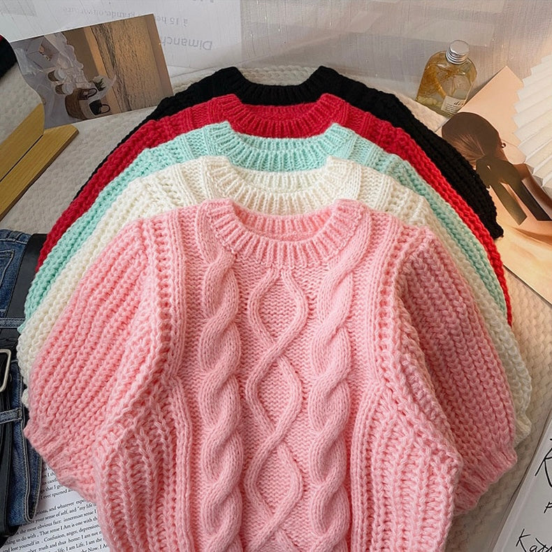 Allinya Crew Neck Knit Sweater