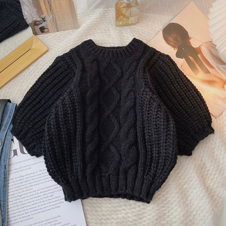Allinya Crew Neck Knit Sweater