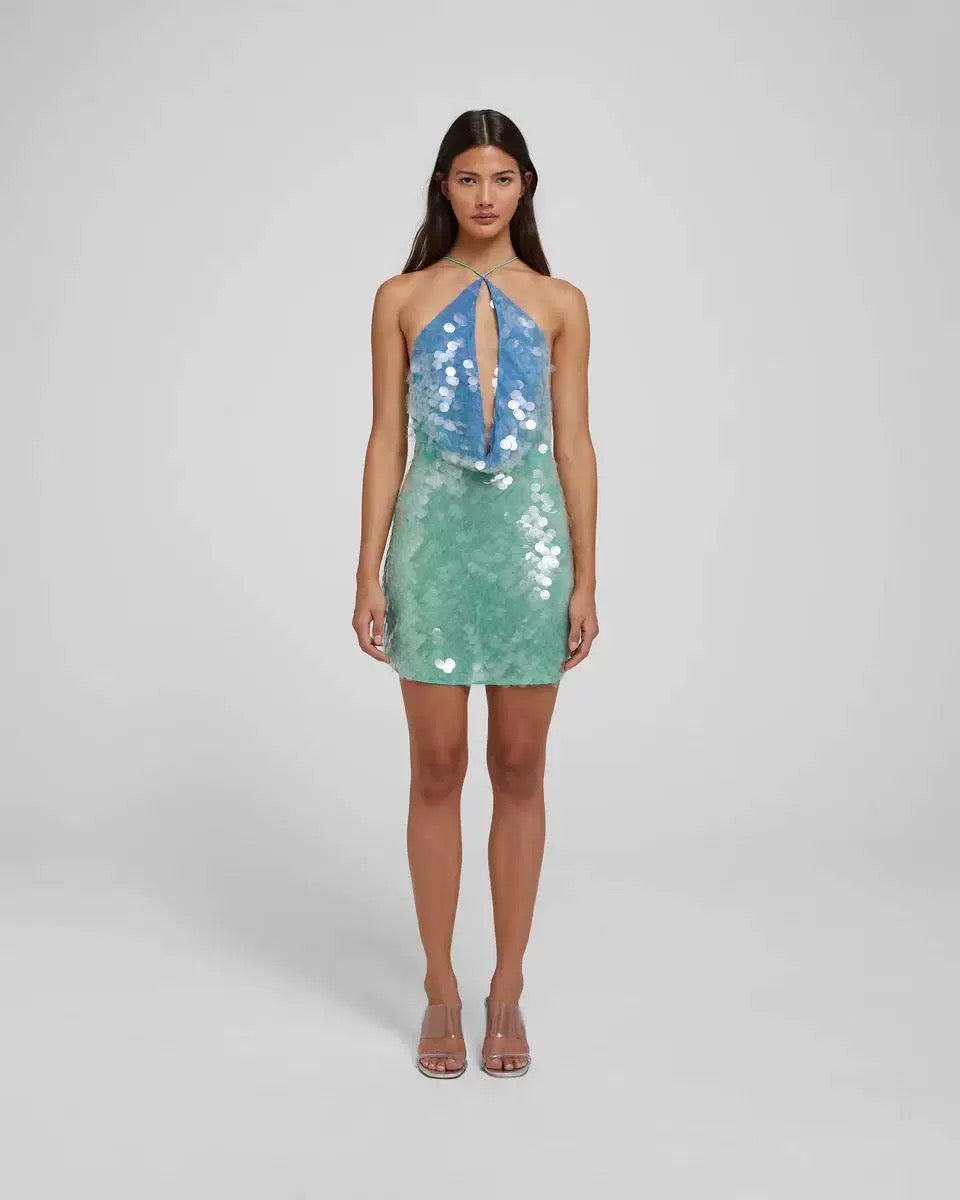 After Dark Sequin Dress